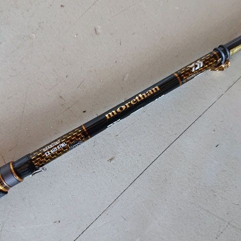 Daiwa EX AGS 87ML More Than Branzino Spinning Rod Used, Nicks