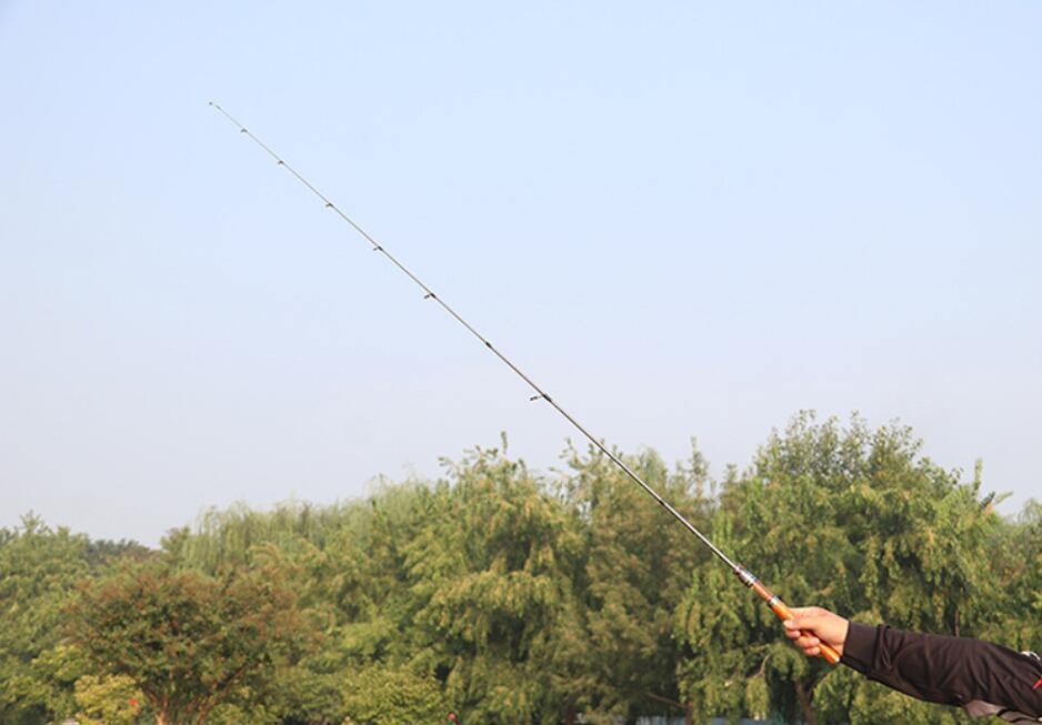 Trout Fishing Rods 1.68m 1.8m Carbon Rod Spinning Casting Rod Fast Fishing Poles