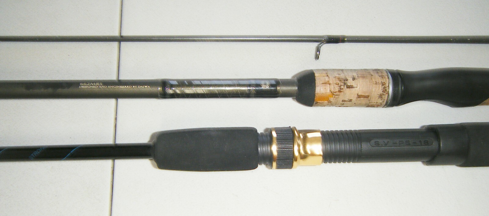 2 Daiwa Fishing Rods 1 Apollo 1-Piece Casting – 1 Custom Design 2-Piece Spinning
