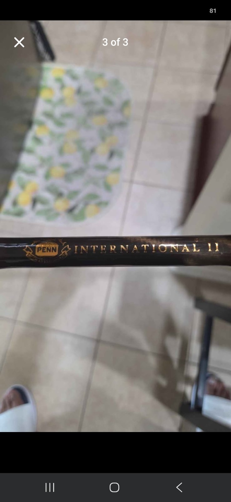 2- PENN International II Unisex Adults Fishing Rod – Black With Cover.