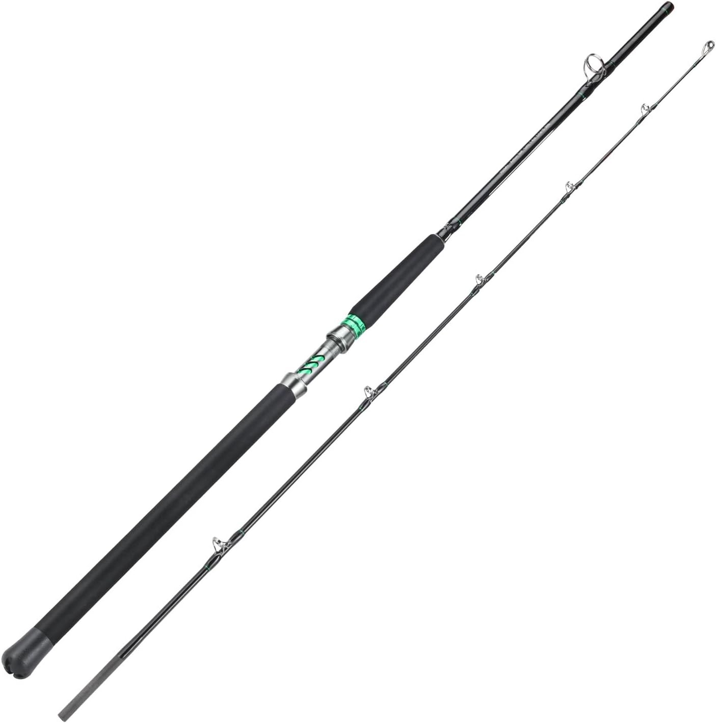 Spinning & Casting Catfish Rod,2 piece Medium Heavy Portable Travel Catfish