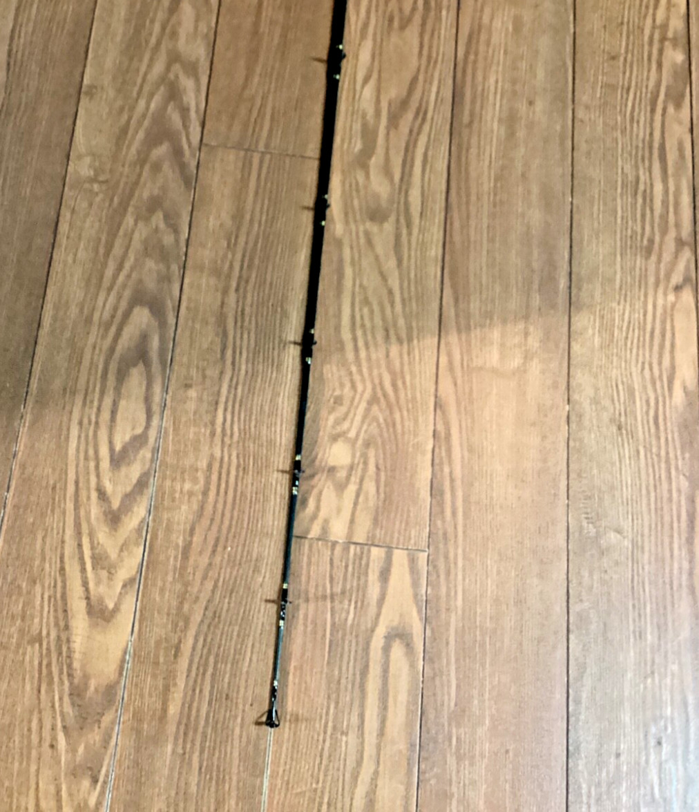 DAIWA Accudepth Trolling Rod Model AD DR762 (2 piece) w/tags
