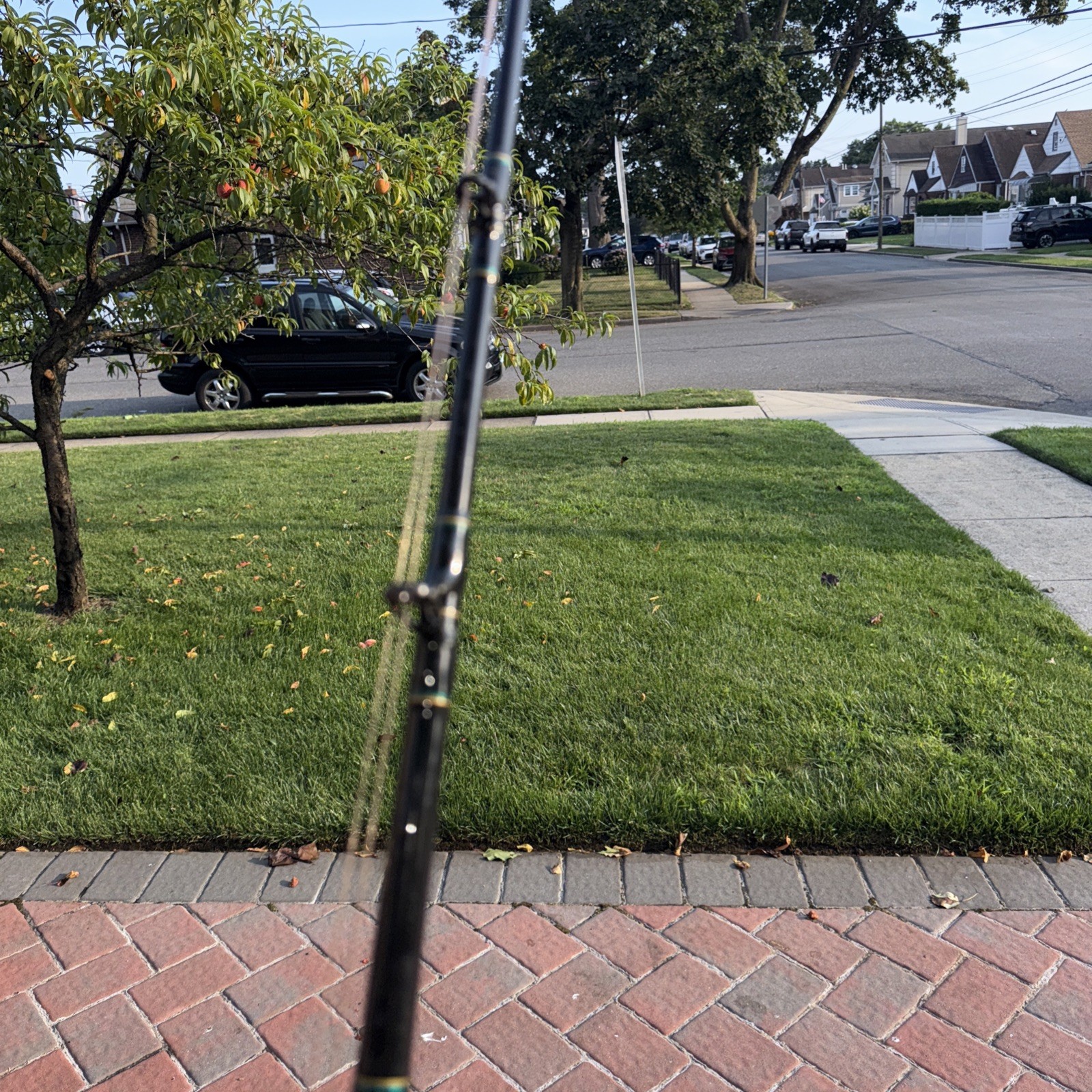 Penn International 50W & Tidewater BTW60 SURR 6’0” 30-80 Fishing Rod Tuna Shark
