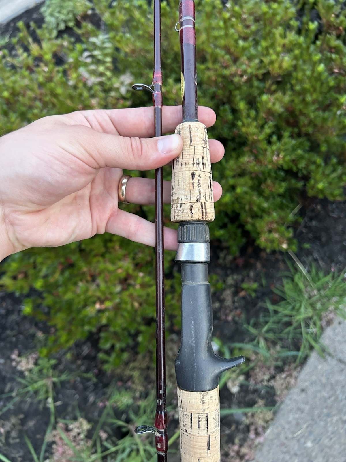 Berkley Air IM7 8’6” A92 MH 10-20lb Casting Rod By Buzz Ramsey