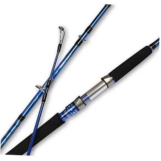 2-Piece Saltwater Spinning Fishing Rod Offshore Graphite Portable Fishing Rod