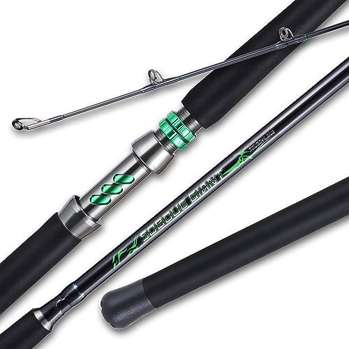 Spinning & Casting Catfish Rod – 2 Piece Medium Heavy Portable Travel Catfish