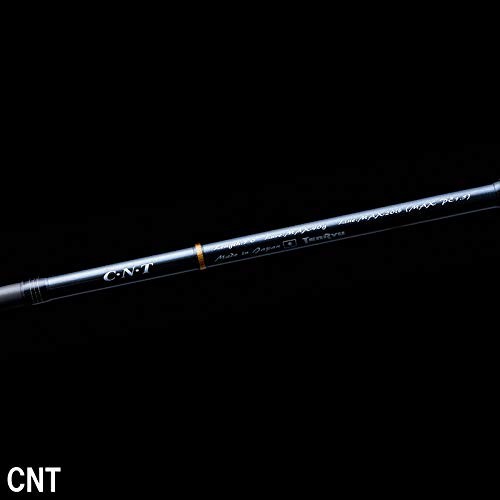 Tenryu BAYBLAZE BBZ6112S-MH 2pcs Baitcasting Rod Jigging 6.11ft Carbon Fiber NEW