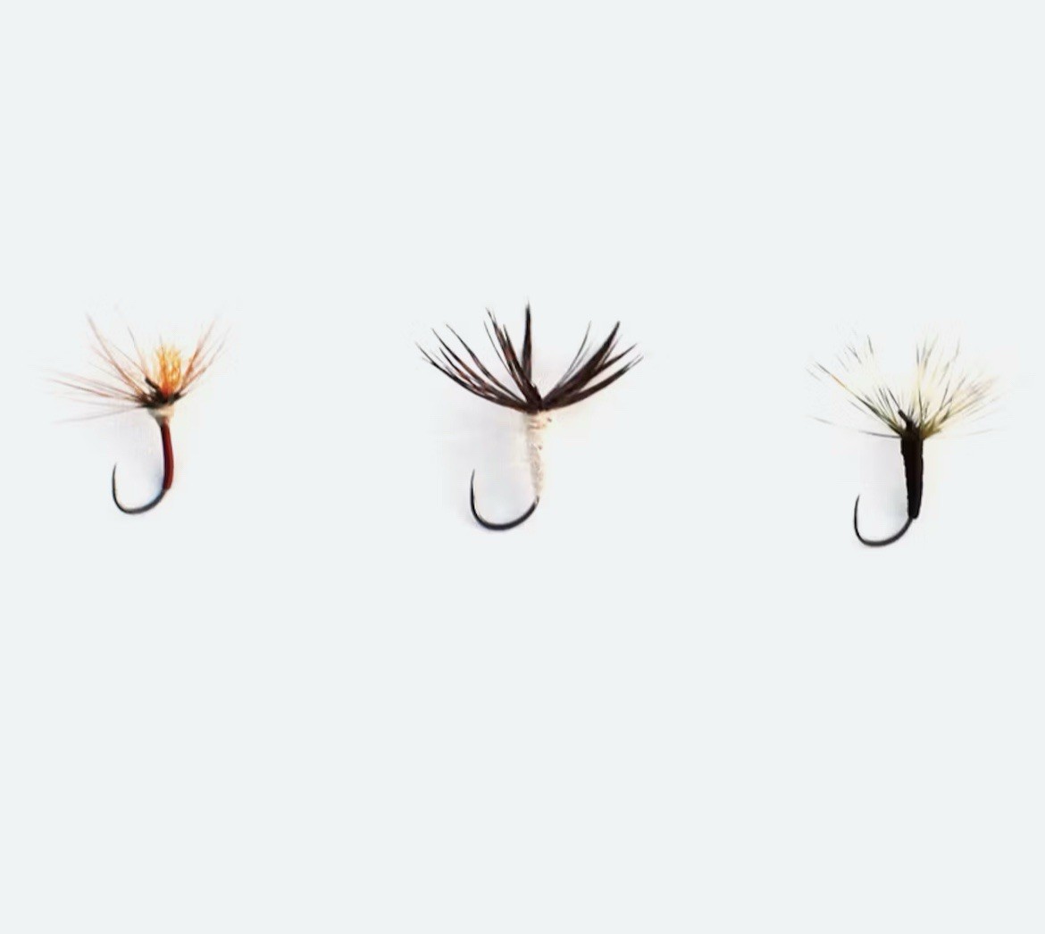 Tenkara Rod CoOwyhee Package- 13 Ft / 7:3 Action