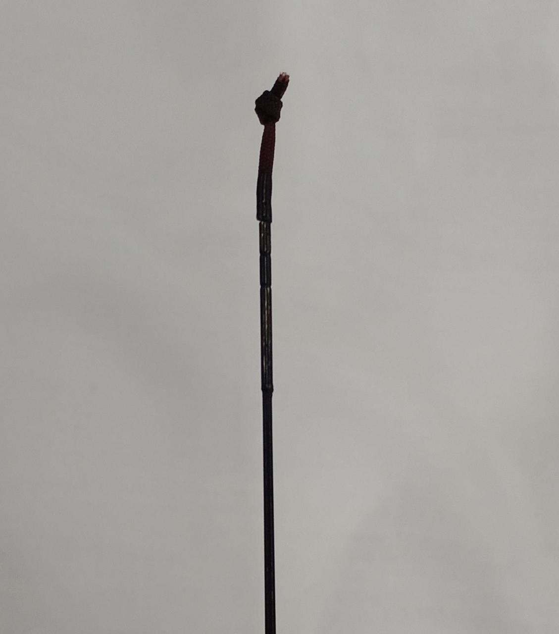 Lightning Hibiki Carp Fishing Rod 12ft (144in/365cm) – No Guarantee