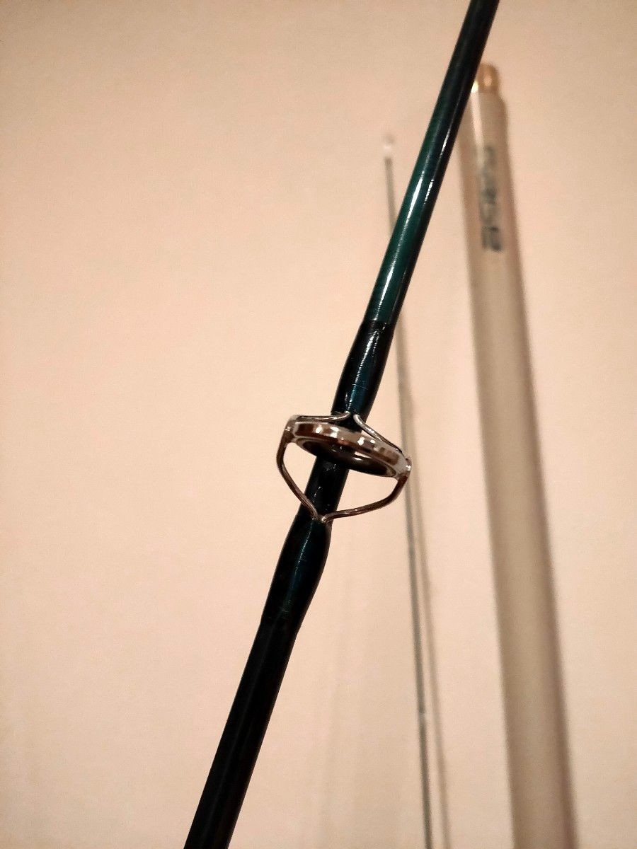 SAGE Graphite IV 890 SP+ Fly Fishing Rod 8 9’0″ Spey Rod for