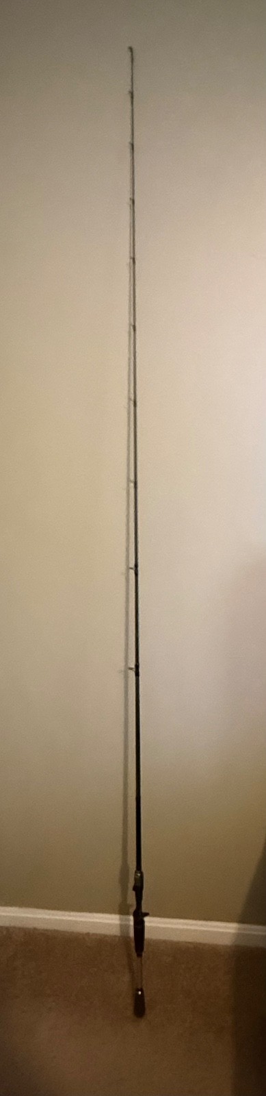 shimano intenza casting rod