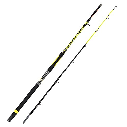 Catfish Fishing Rod 1 Piece/2 Piece Portable Travel Heavy Cat