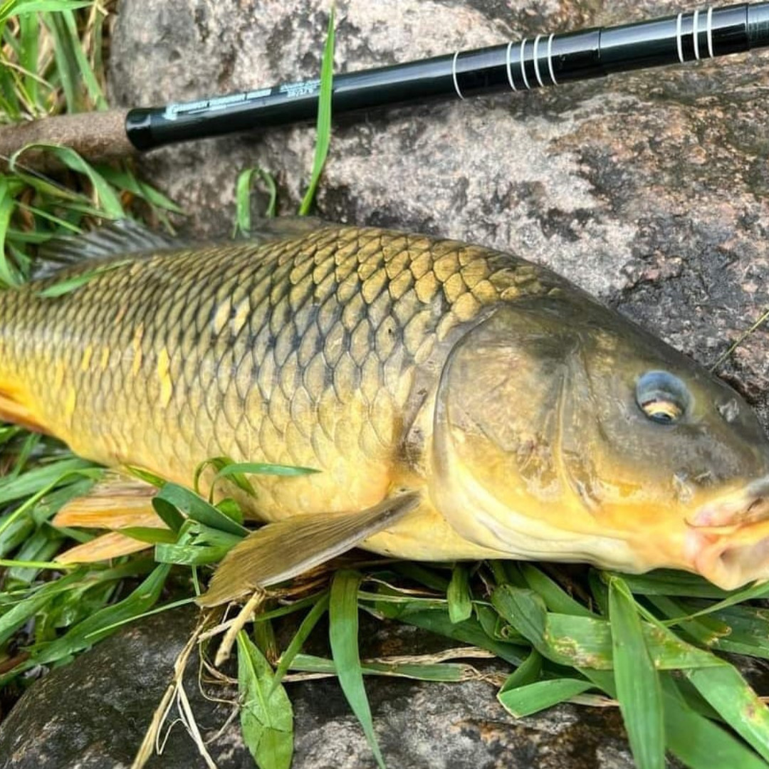 Wasatch RodZilla 16′-17’6″ Double Zoom 8:2 Action Carbon Tenkara Rod w/ Rod Tube