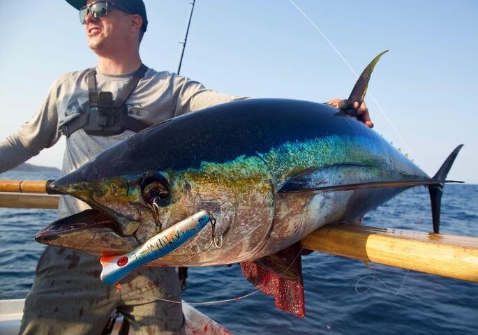 2023 HAMACHI 9’6 XOS GT’n’Doggie Ultra Cast 20 – 40lb Japanese spin fishing rod