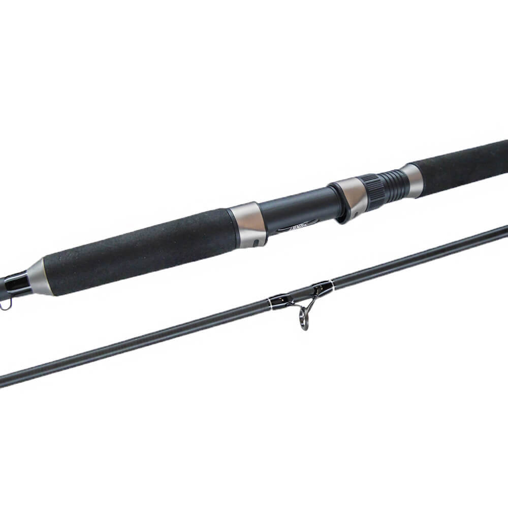 Jenzi catfish rod Siluro special unique spin 80-200 g 2.70 m carbon rod catfish rod