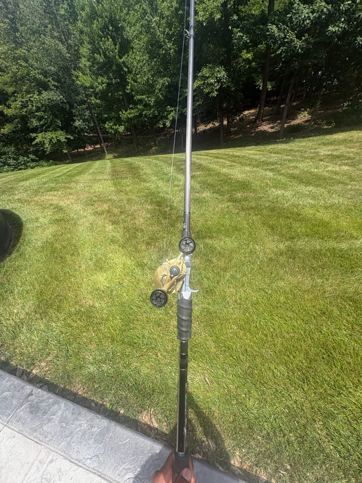 Alpha SoftSwim Silver Swimbait Rod