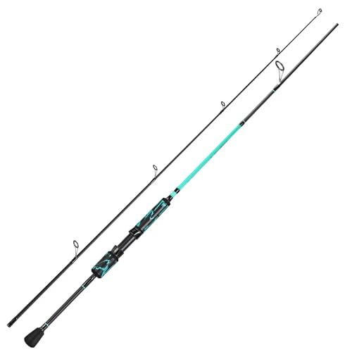 IM6 Graphite Fishing Pole – Spinning Rod & Casting Rod – High Performance