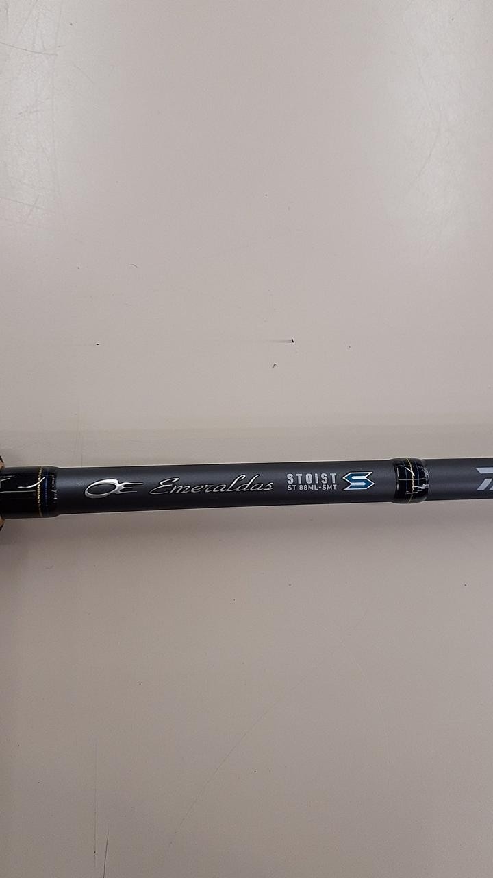 Daiwa Eging Rod 88in/8ft8in, 90g, 2-piece, with case, Fishing Equipment