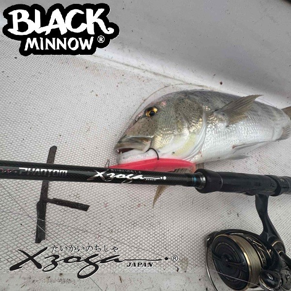 XZOGA AIRVOLUTION PHANTOM Spinning Rod 90-2MHF 2.75m 15-60gr NEW