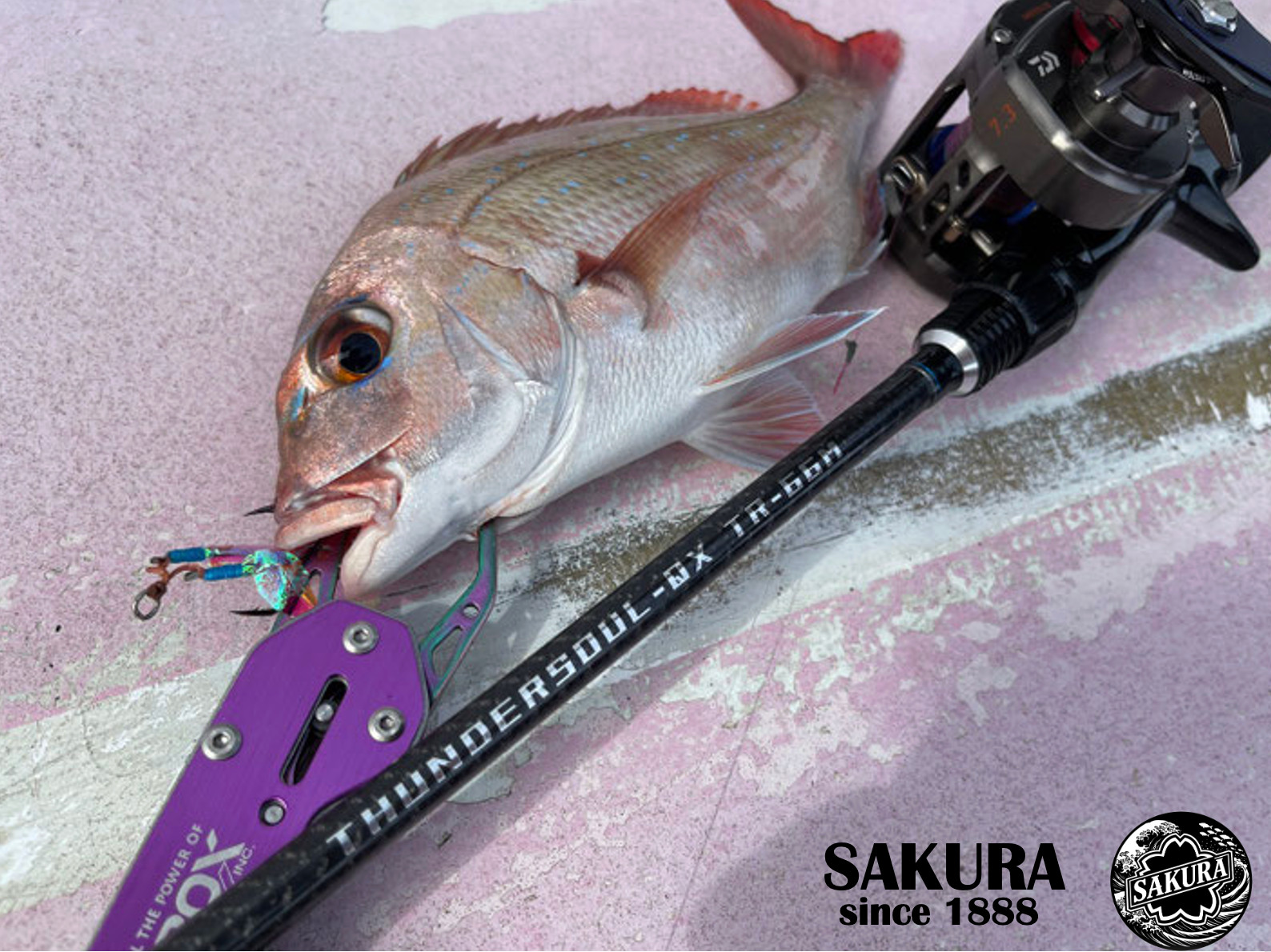 Lure Fishing Rod From Japan Vertical Jigging Sea Bream Glass Carbon SAKURA pole