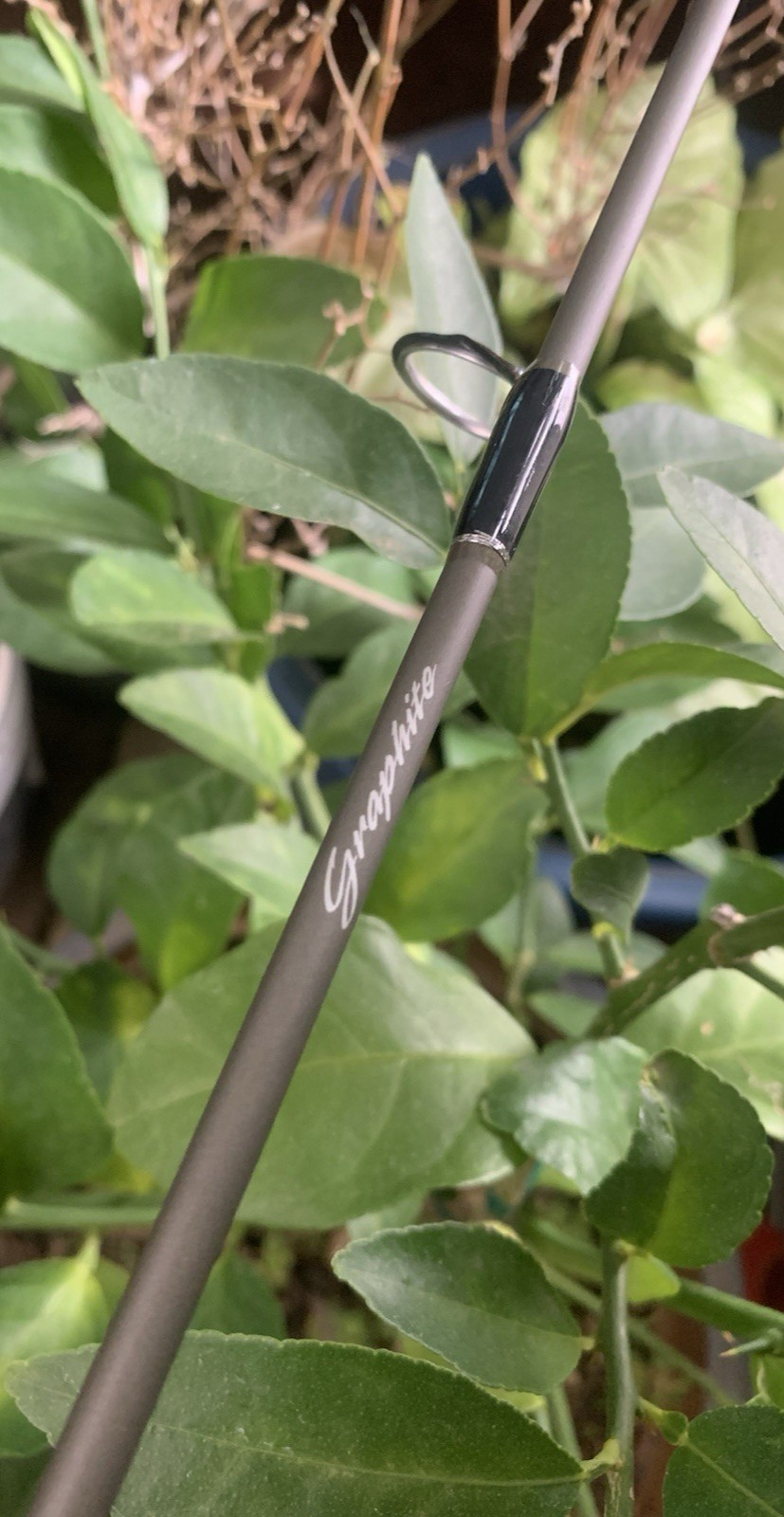 Shakespeare Micro Graphite MS 56 2 LD Light 5’6″ Spinning Rod Freshwater Fishing
