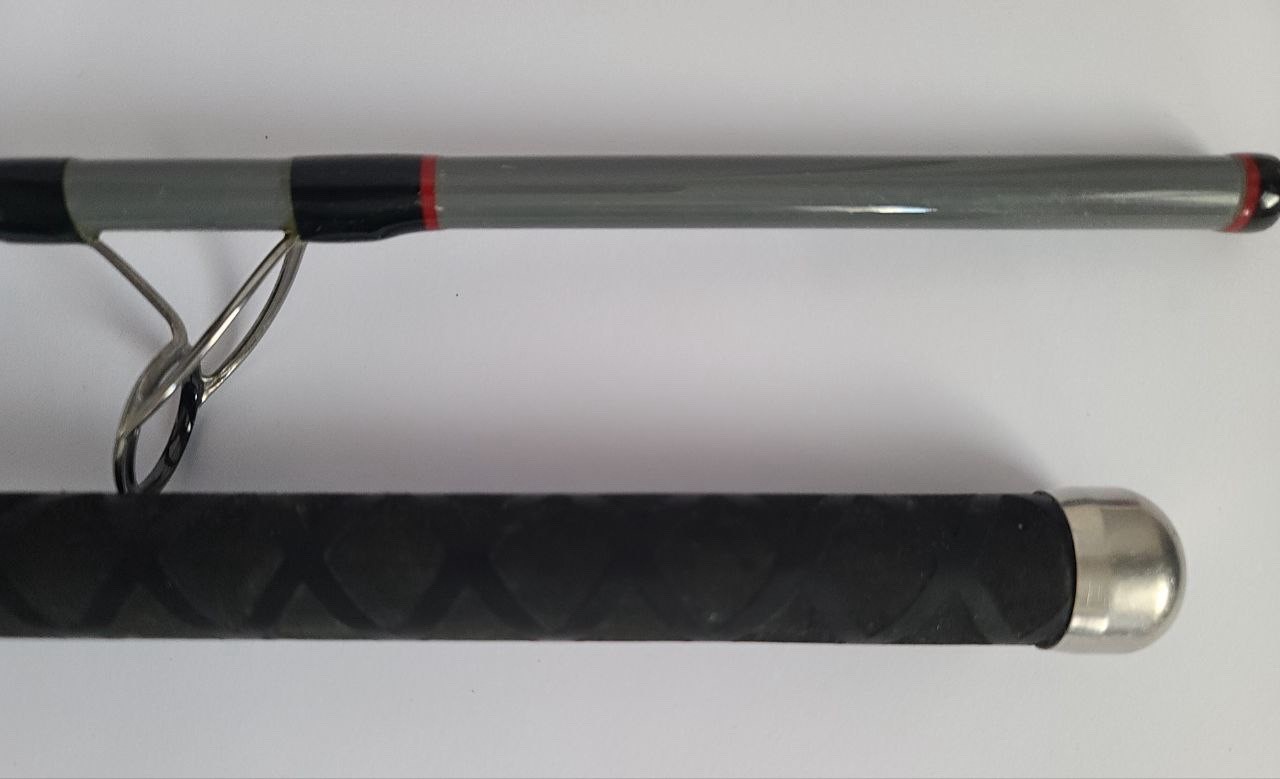 CTS 12 FL. SURF. SPINNING ROD