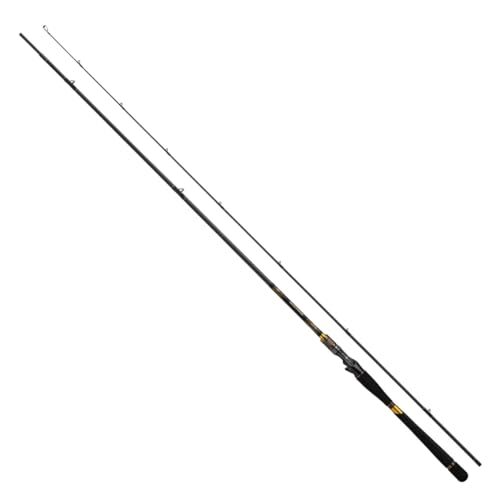 Daiwa Morethan BRANZINO EX AGS 93MHB Baitcasting Rod
