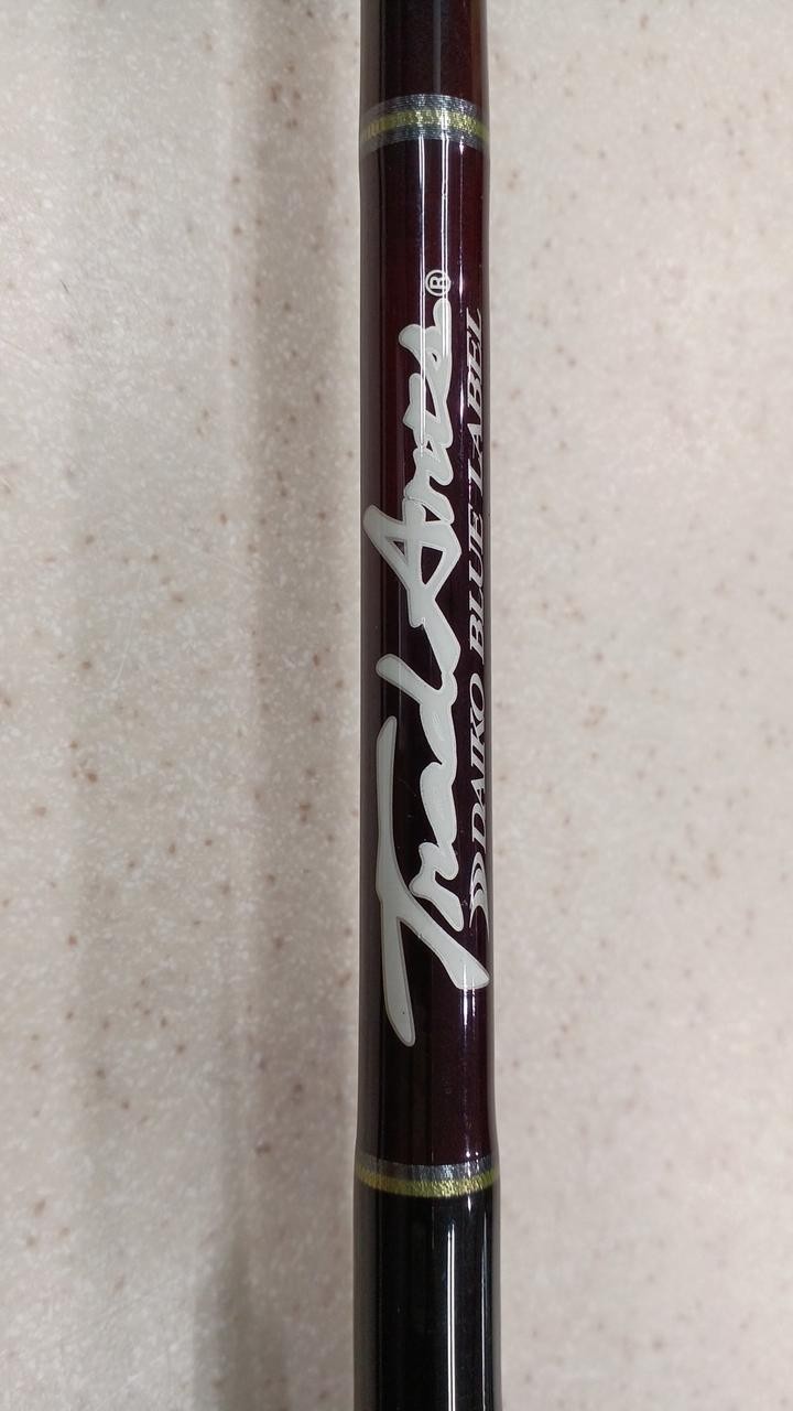 DAIKO Egi Spinning Rod 8ft 3in (130cm), 2-Piece, 9 Guides, 0.5-1.2PE