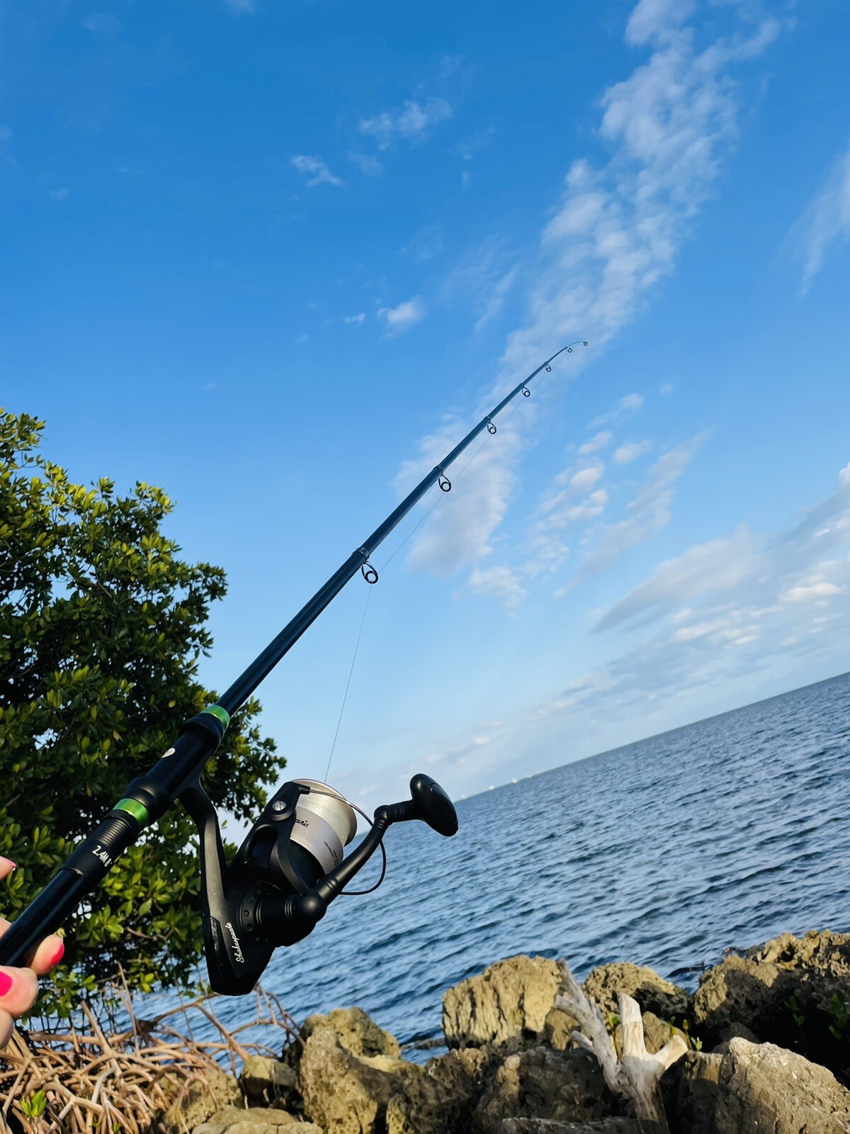 FISHEROX 🎣 Ultra Lightweight Carbon Fiber Fishing Rod – 6’