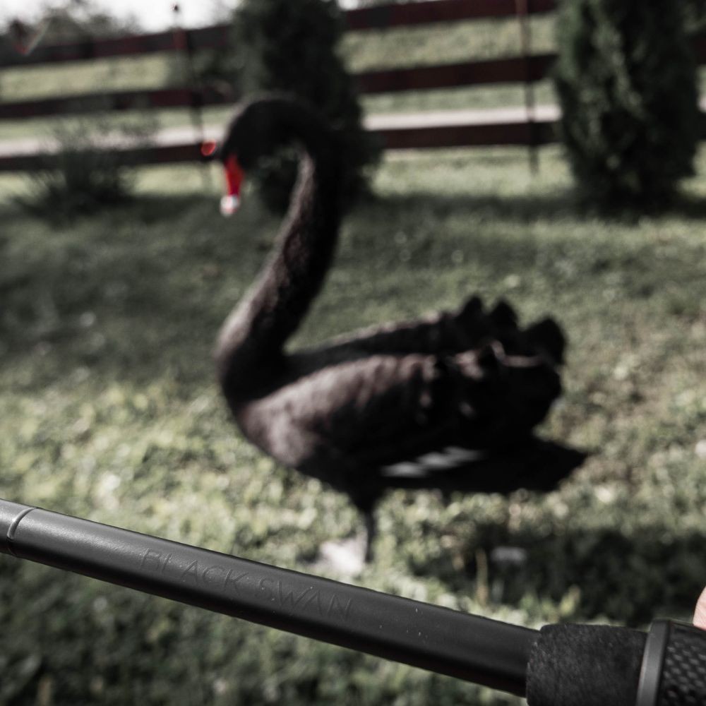 FAVORITE Ultra Light Fishing Spinning Rod BLACK SWAN BSW-842L-T