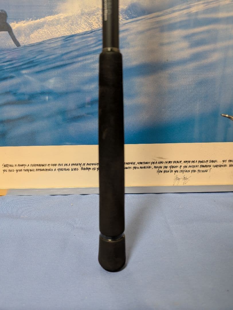 morethan BRANZINO 97ML/M Seabass Rod