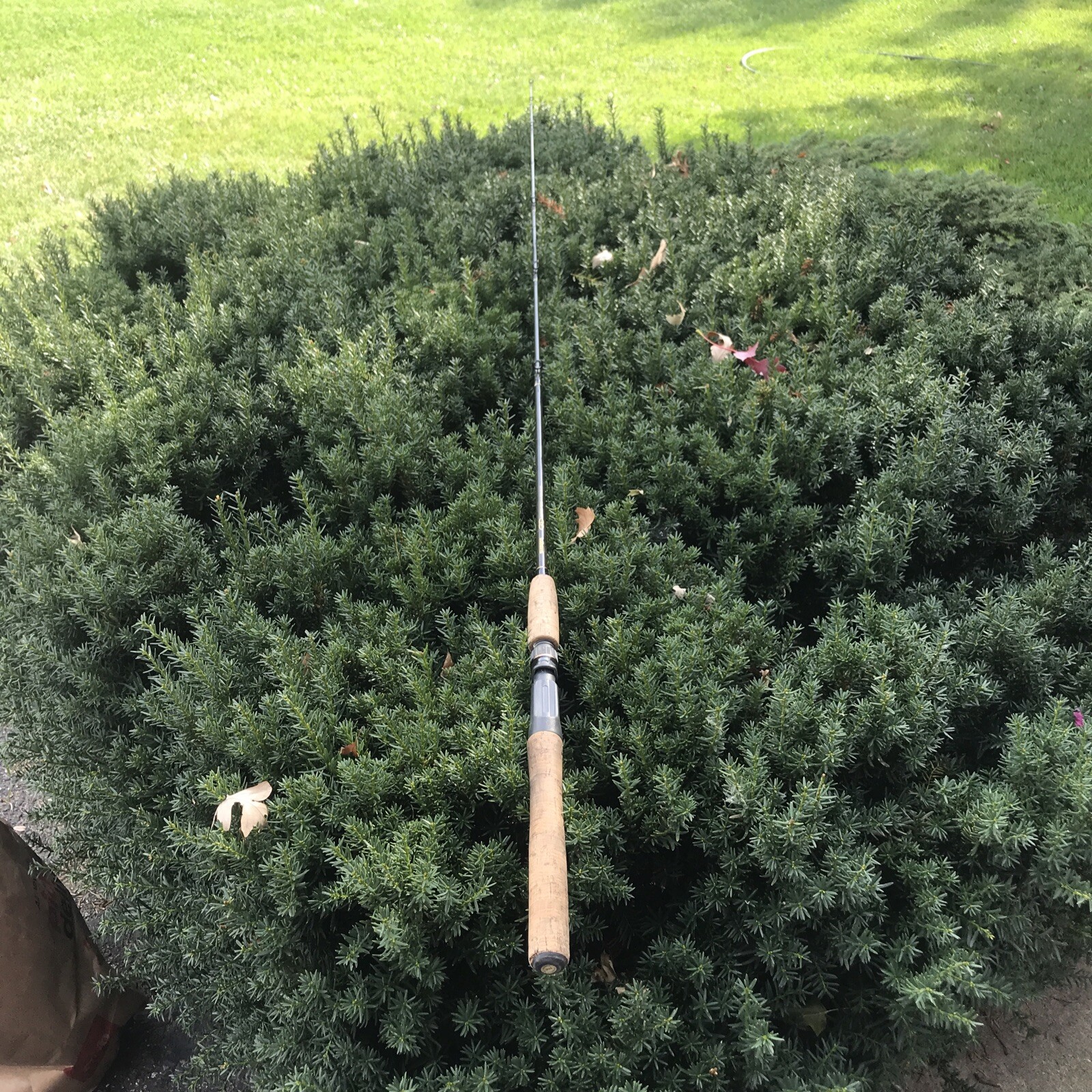 Shimano 1 Pc PMC-60MC Medium Casting Rod 6’ 6-15 Lb Line Missing 1 Guide