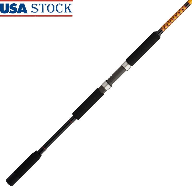 Bigwater Spinning Rod 9ft Medium Heavy 2 PieceDurable Fishing Rod EVA Grip