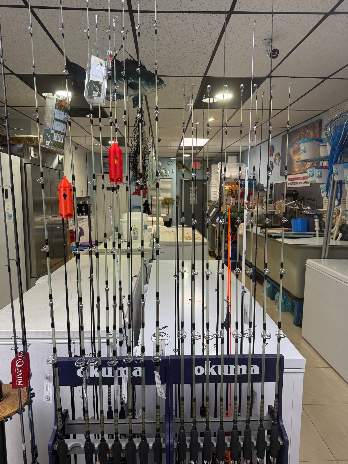 Spinning Rod LARGO STICK RED EDITION II 5 ft – 2 Piece – 5 Guides Hook Holder