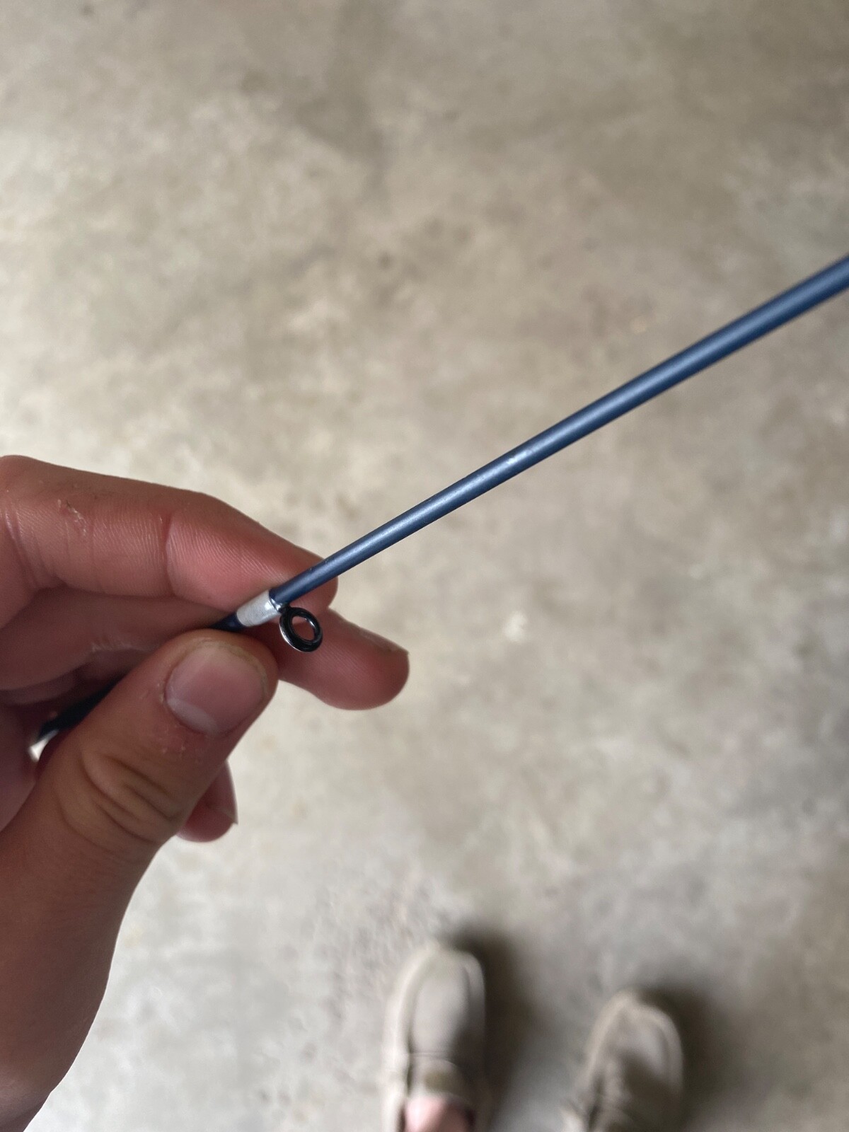 scheels spinning rod
