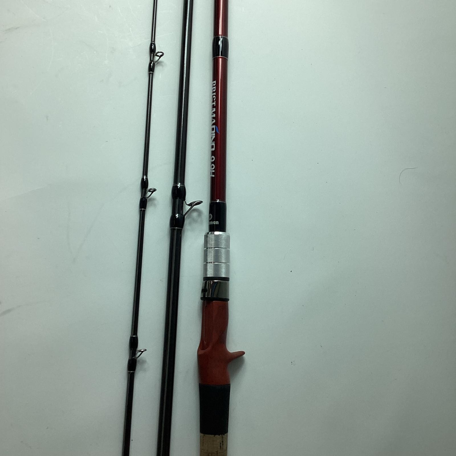 Fishman Brist Marino 9.9H Seabass Rod With rod bag