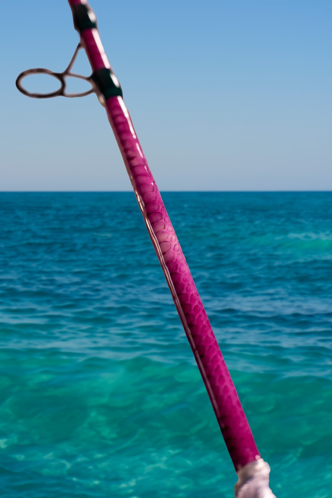 Custom Python Skin Fishing Rod with Real Snake Skin Grips and laminated to tip.