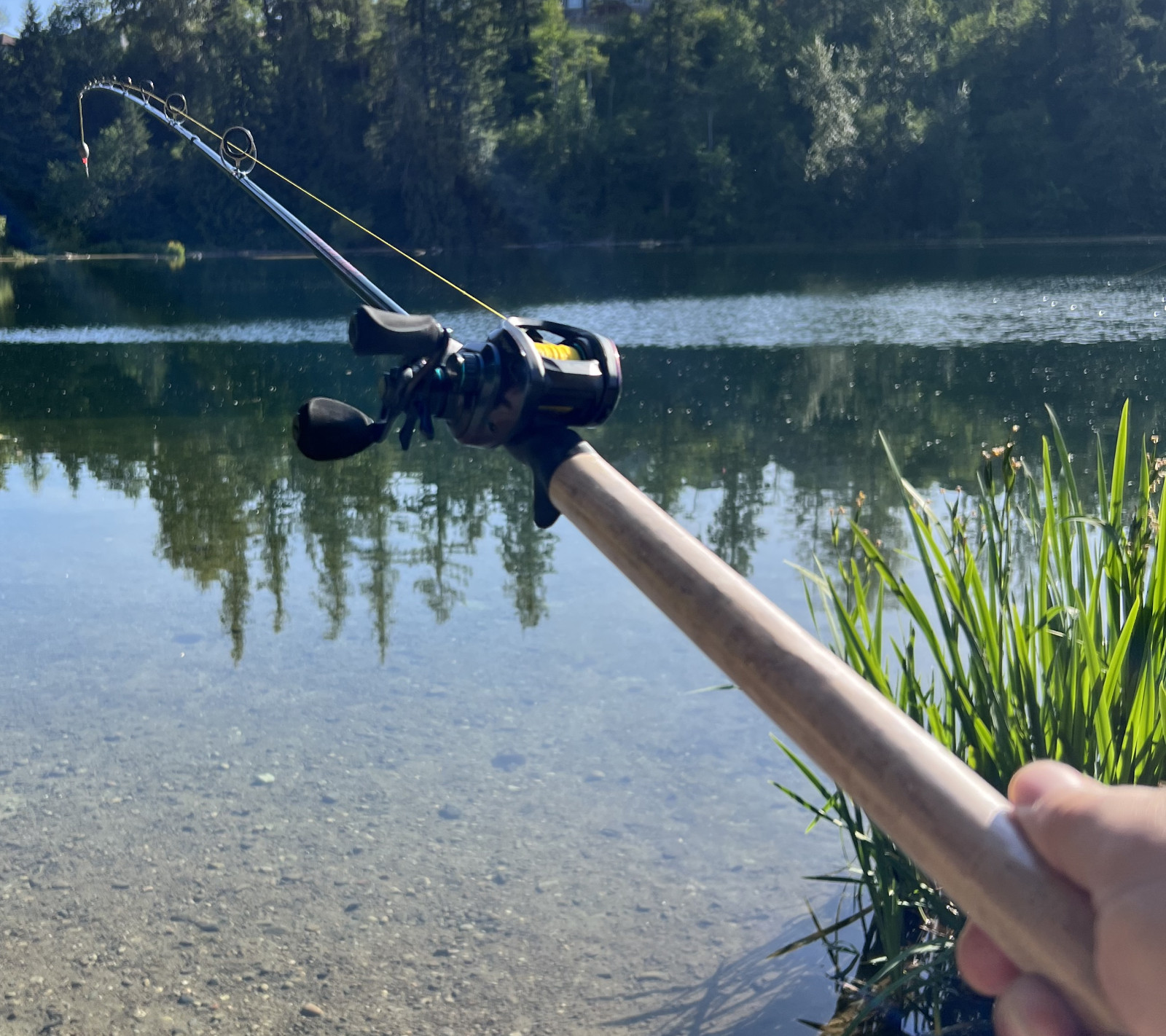 Fishing Rod Spinning Casting Carbon Fiber Portable Medium Fast Pole Lightweight