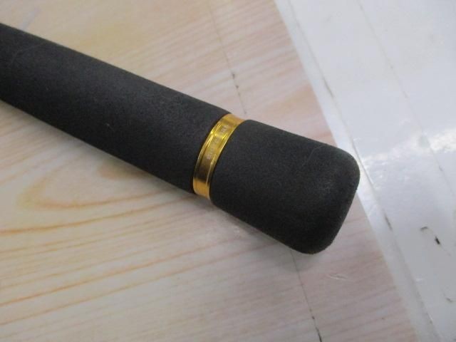 Daiwa Morethan EX AGS98ML Saltwater Rod Shore Used