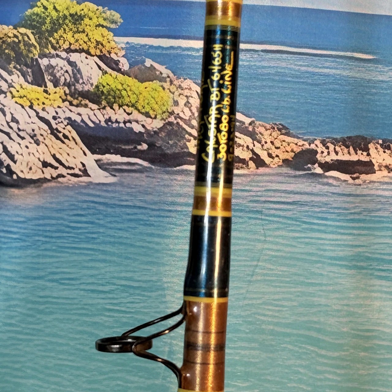 Calstar BT6465H Custom Conventional By Longfin 30-80lb Saltwater Rod Blue Gold