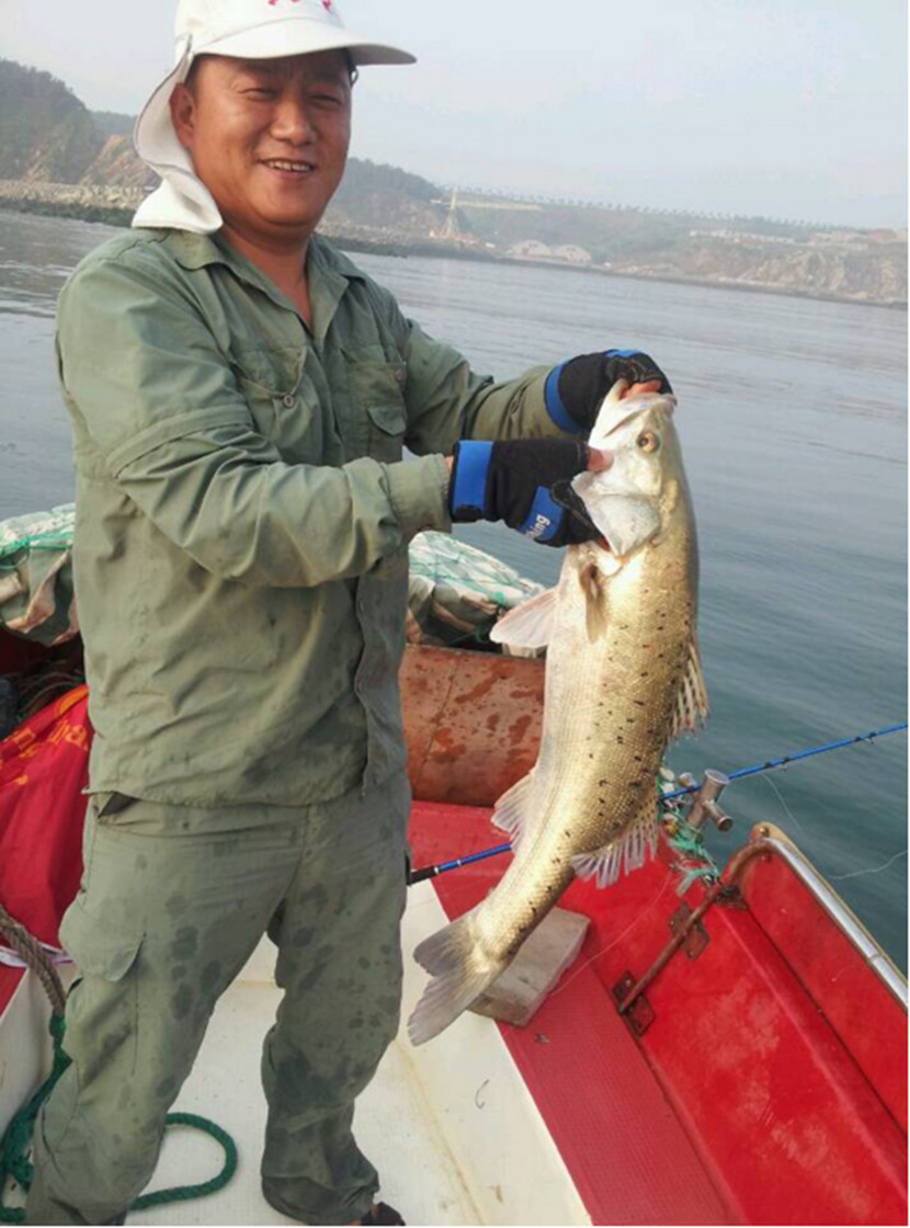 Offshore Deep Sea Rod SNIPER DEEP SEA jigging boat rod 2pcs spinning CW:50-300g