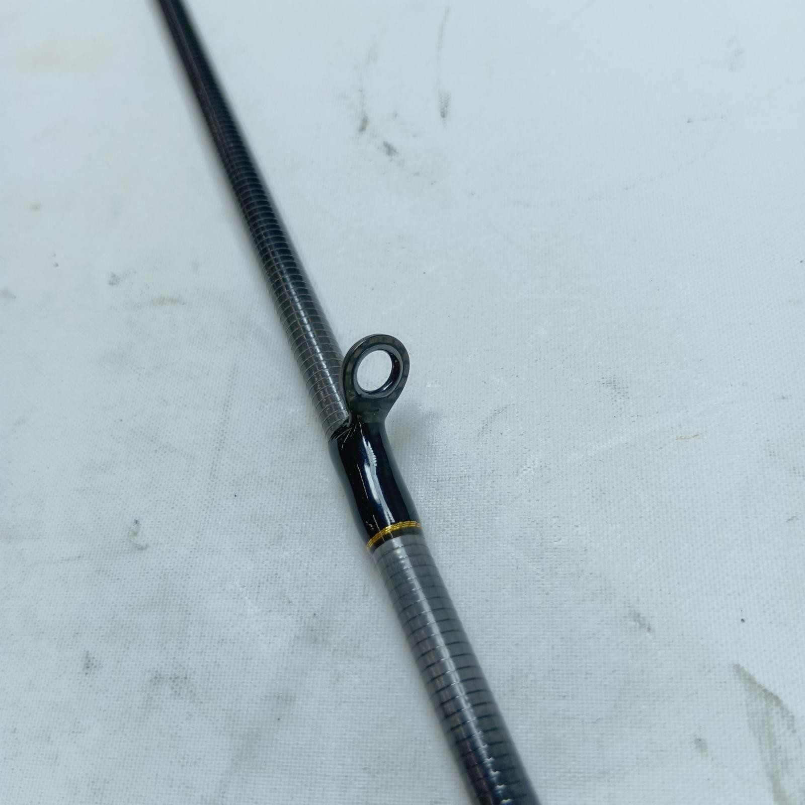 DAIWA Seabass rod Morethan AGS97MLB 01474071 With rod bag