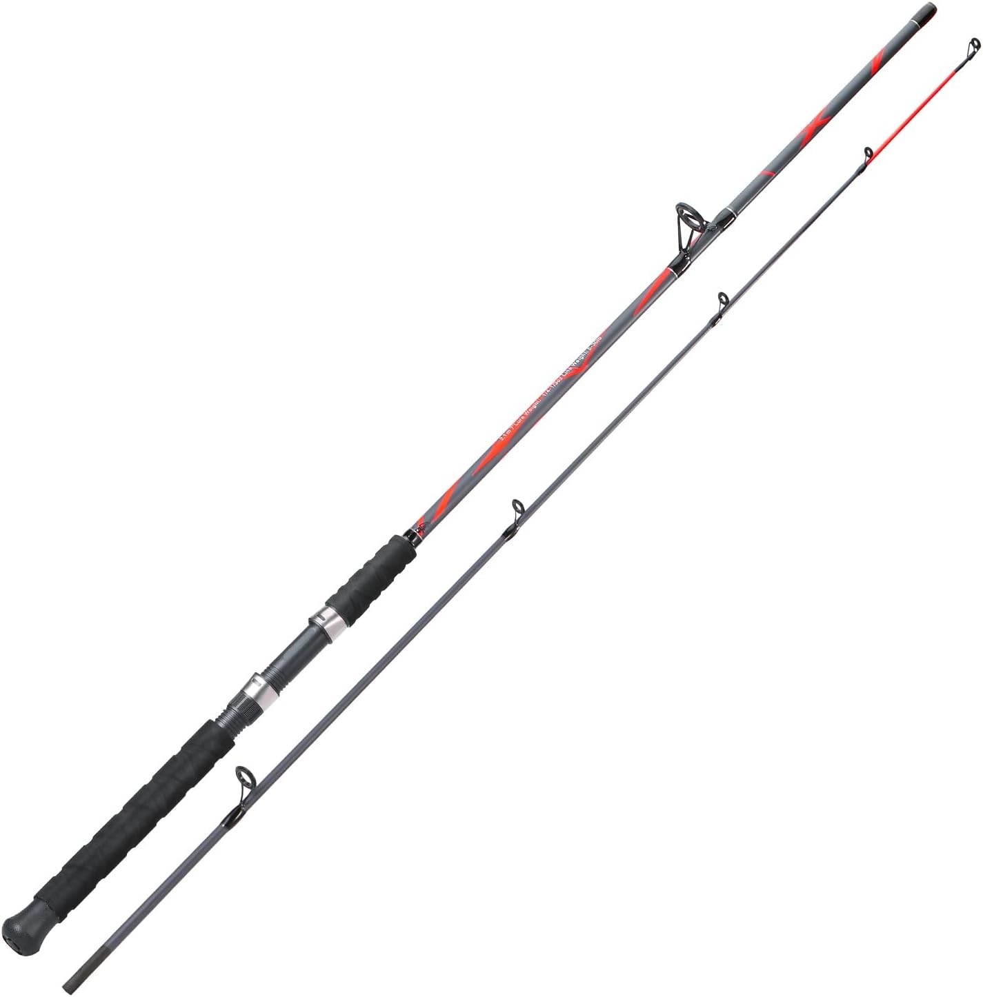 Spinning Rods Strong Carbon&Glass Composite Fishing Pole W/ Stainless Steel Line