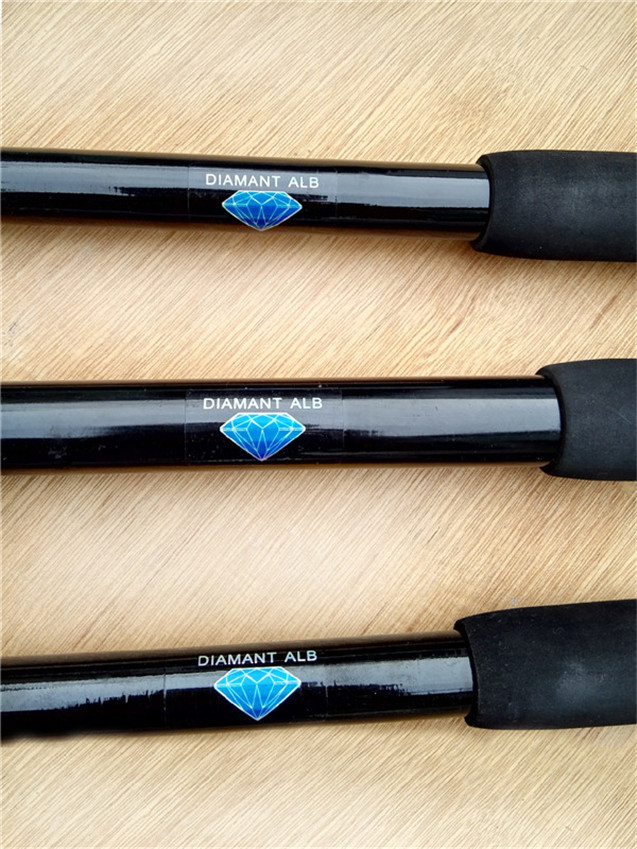 Superhard 2.7m 3m 3.6m 3.9m Telescopic beach spinning sea rod CW:200-300g