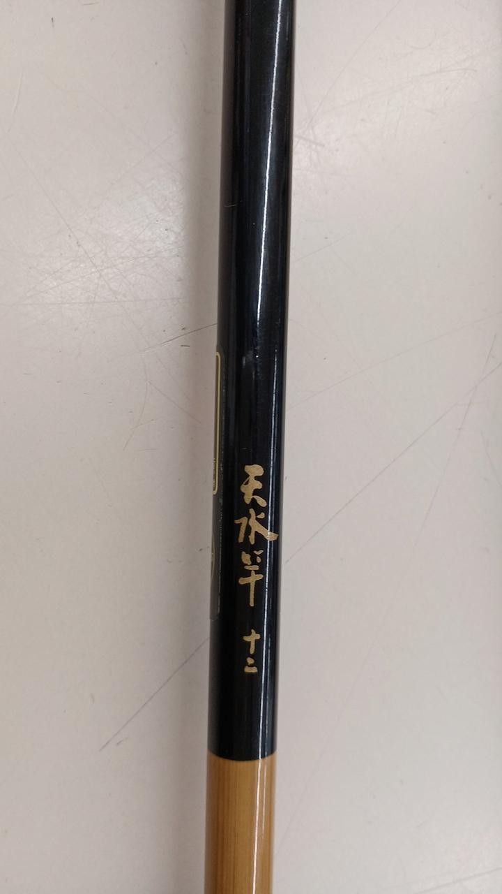 Ryobi Rainwater Rod 12
