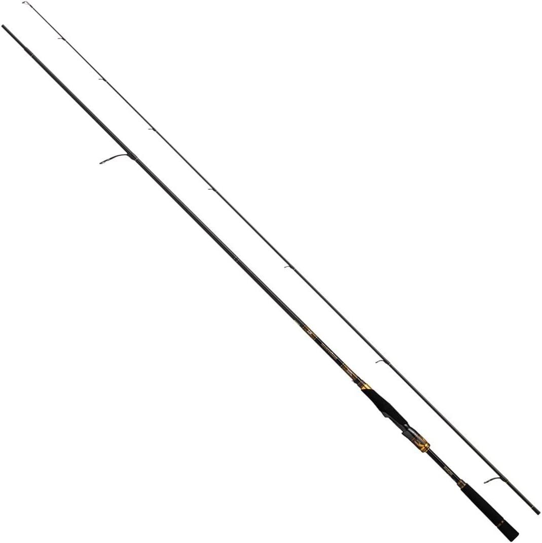 DAIWA Sea Bass Rod 20 Moisan Branzino EX AGS 97ML/M