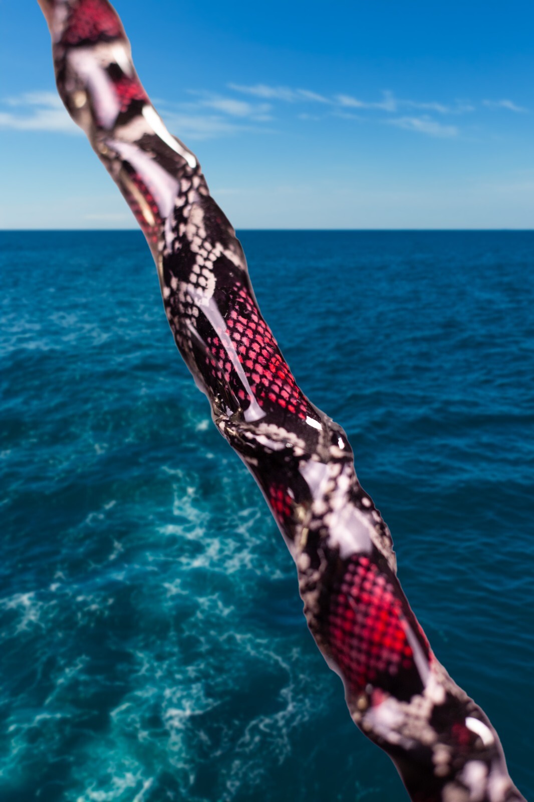 Custom Python Skin Fishing Rod with Real Snake Skin Grips and laminated to tip.