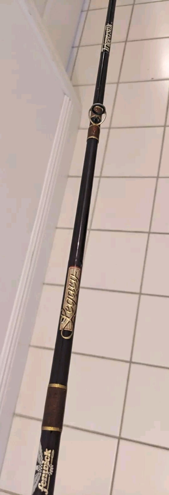 Fenwick Legacy TriggerStick Casting Fiberglass Rod – Read