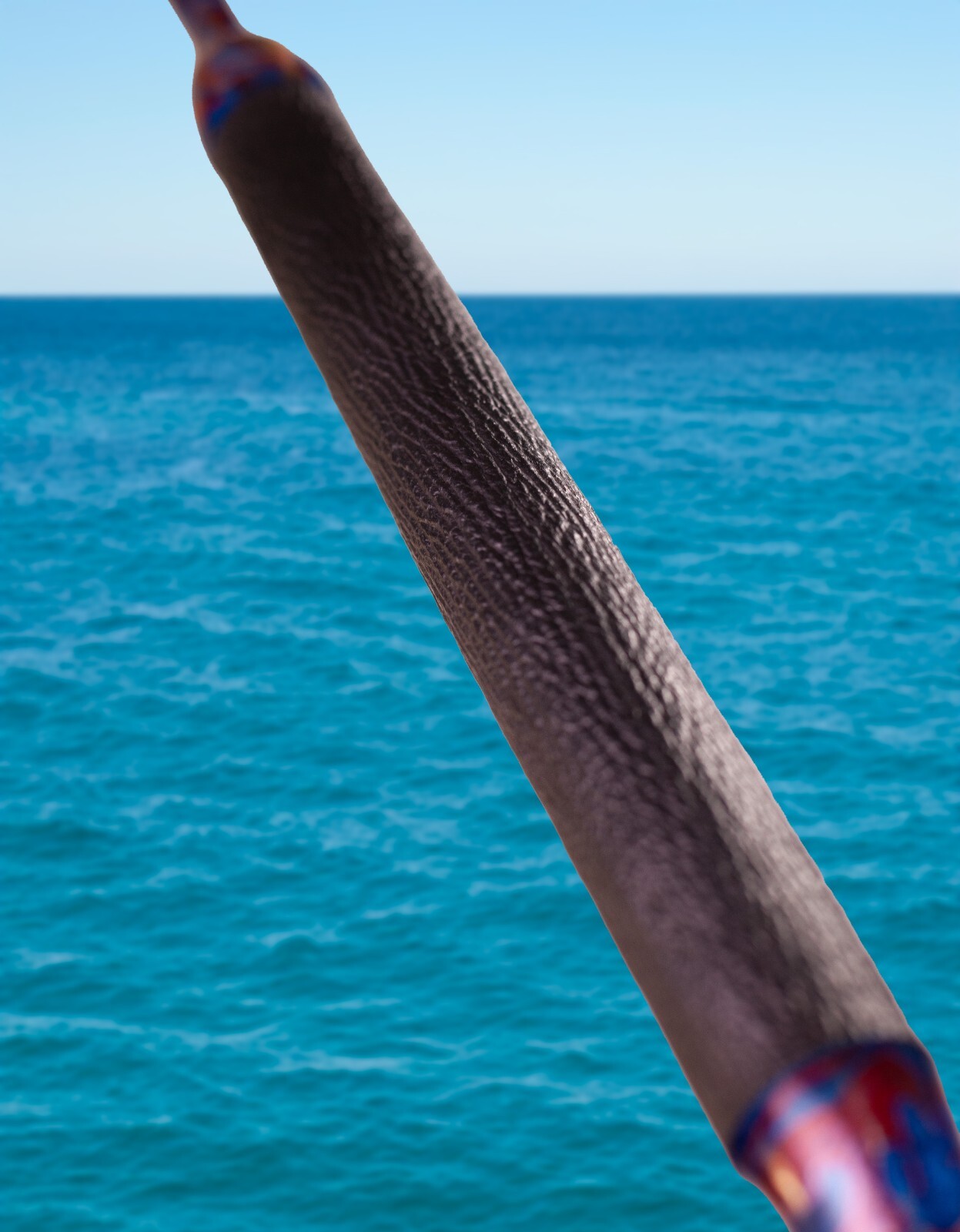 Custom Fishing Rod with Real Shark Skin Grips and Awesome Paint Job