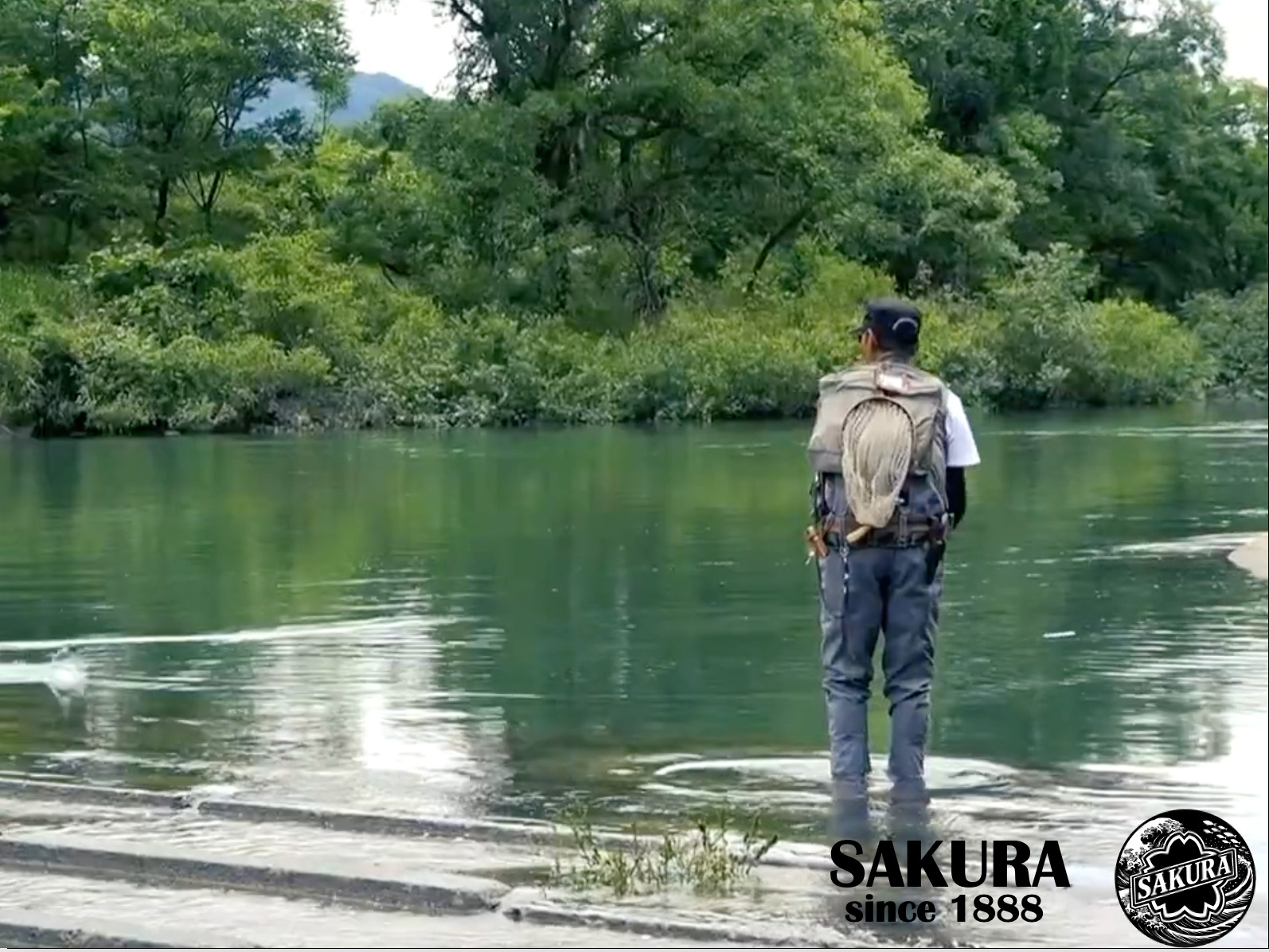 Spinning Rod From Japan Ajing Light Game All Saltwater Fish Carbon SAKURA pole